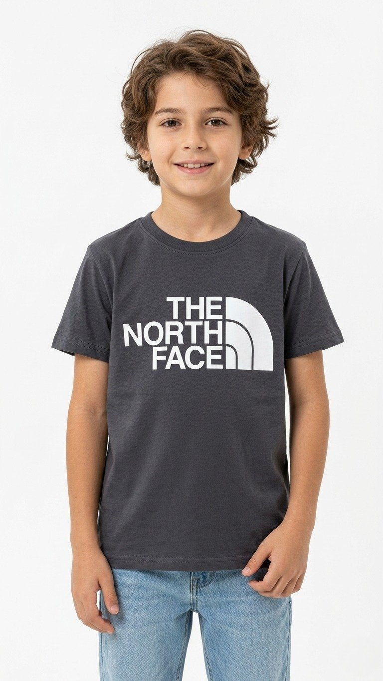 THE NORTH FACE T-SHIRT gray / 6