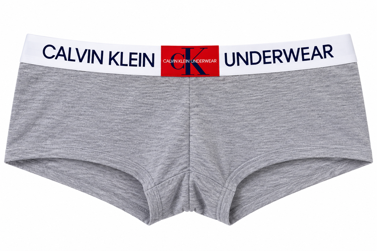 Calvin Klein Underwear Slip 2 Grey Underwear XL / Grey