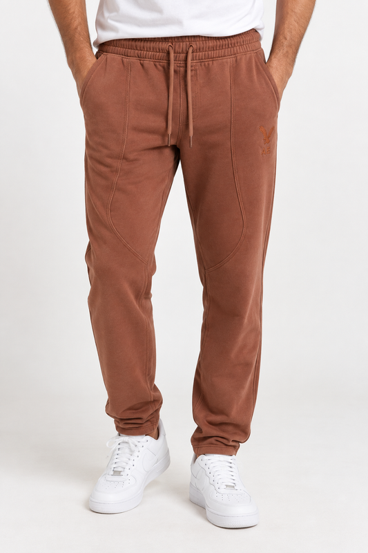 AMERICAN EAGLE PANTS AMIRCAN PANTS brown / S