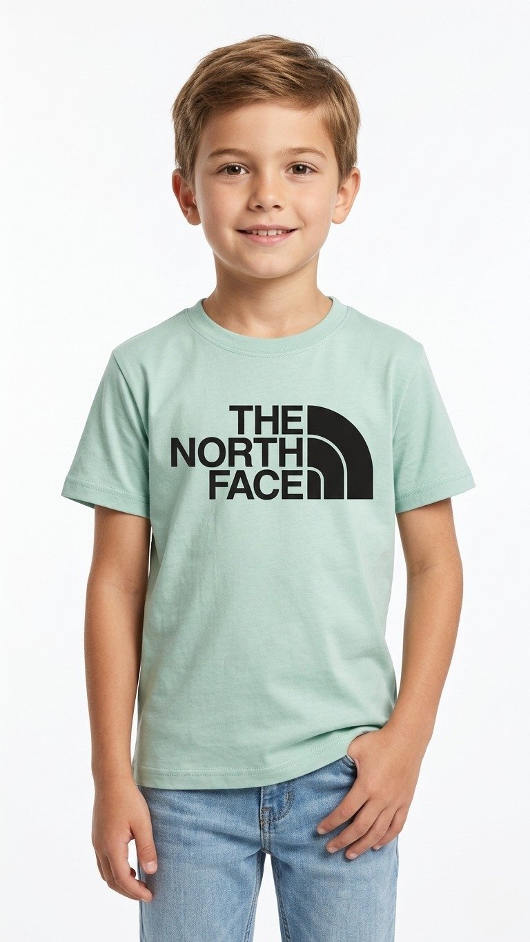 THE NORTH FACE T-SHIRT light green / 6